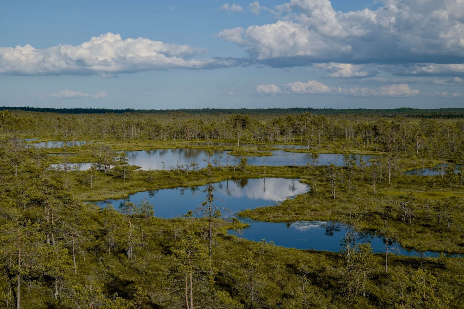 Luftfoto av myrlandskap med vannspeil, skog og skyer