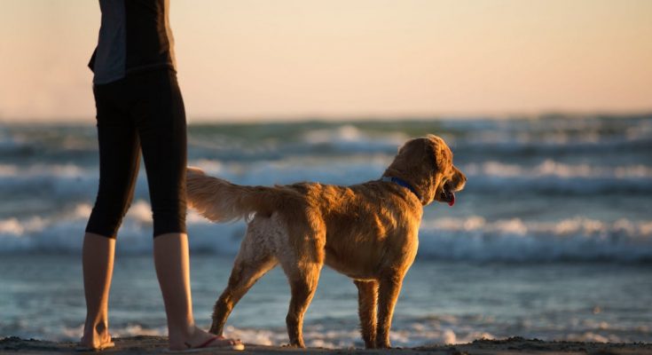 Kvinne med hund på stranda